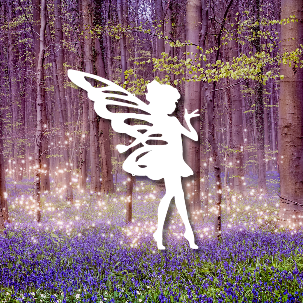Sassy Pixie - Steel Sign